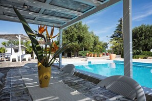Outdoor pool, pool loungers