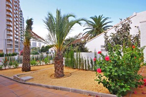 Un pati amb palmeres, una paret blanca i un jardí amb flors vermelles.