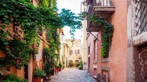 A narrow cobblestone street flanked by buildings with balconies and potted plants. - Rome, Trastevere, charming apartment for 4 (Rome)