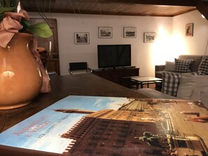 تلفزيون بشاشة مسطحة، مشغل دي في دي