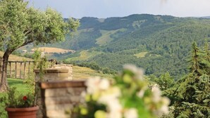 A view of a lush green valley with a stone wall and a tree in the foreground. - Large and beautiful apartment with a view in a farmhouse with swimming pool, sleeps 9 (Perugia)