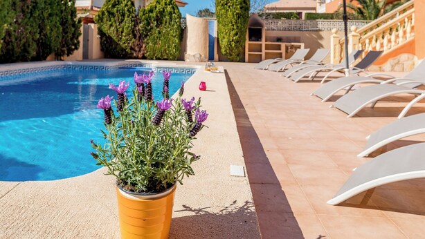 A poolside area with lounge chairs, a potted plant with purple flowers, and a clear blue pool. - Villa Casita - PlusHolidays (Calpe)