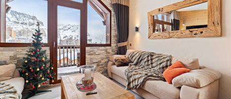 Televisio, DVD-soitin, kirjoja, videokirjasto