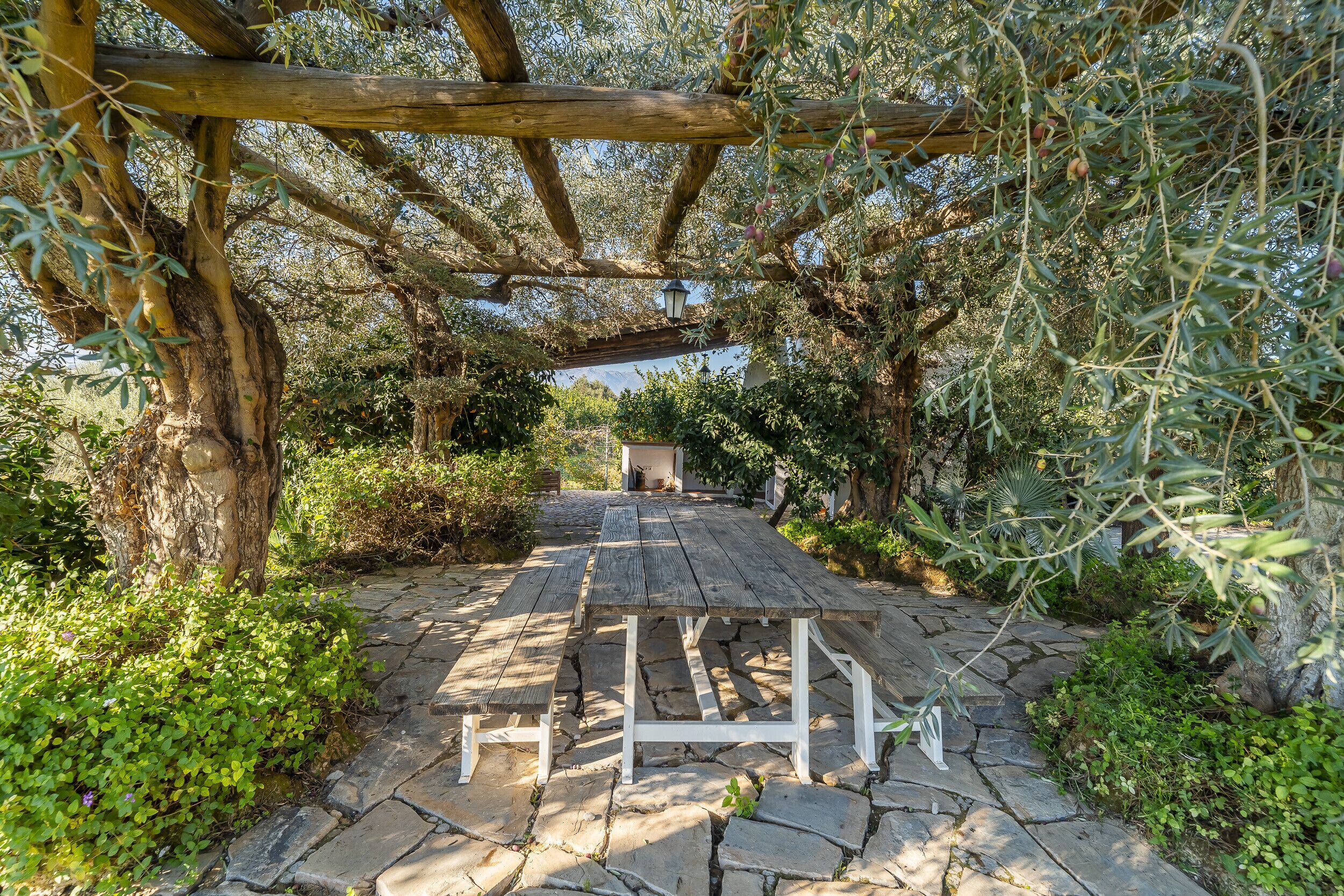 A stone-paved garden with a wooden pergola and a bench.