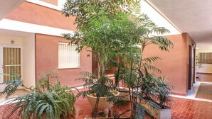A spacious indoor area with a large central plant, surrounded by smaller potted plants, and a tiled floor. - Sunrise watching Tabarca (Santa Pola)