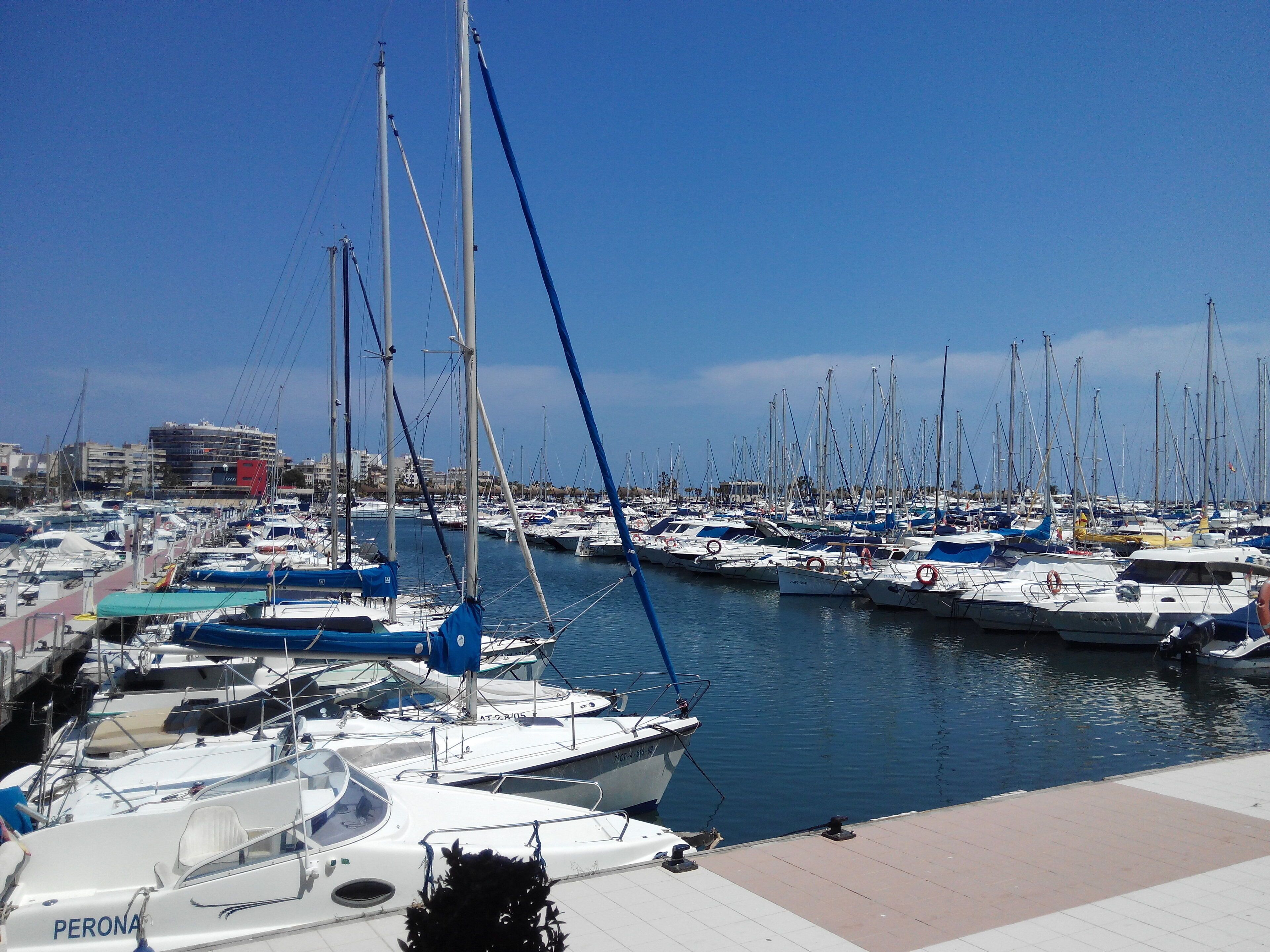 A marina with numerous boats docked, a clear sky, and buildings in the background.