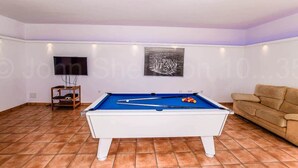 A room with a pool table, a sofa, a television, and a framed picture on the wall.