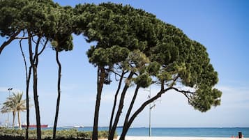 Beach nearby
