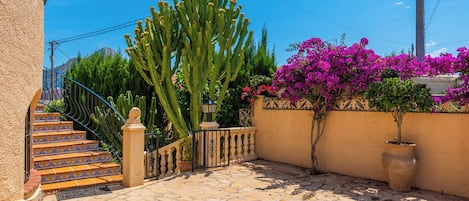 A stone staircase leading to a door, surrounded by cacti and bougainvillea.