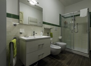 Regadera, secadora de cabello, bidet, toallas