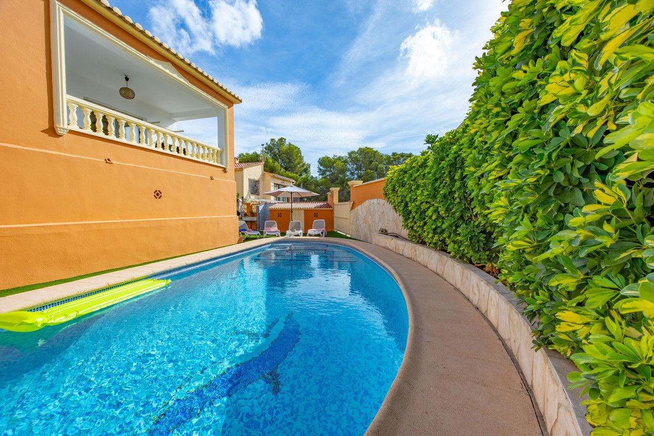A swimming pool with a clear blue water surface, surrounded by a low stone wall and a well-maintained hedge.