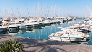 A marina with numerous sailboats docked.