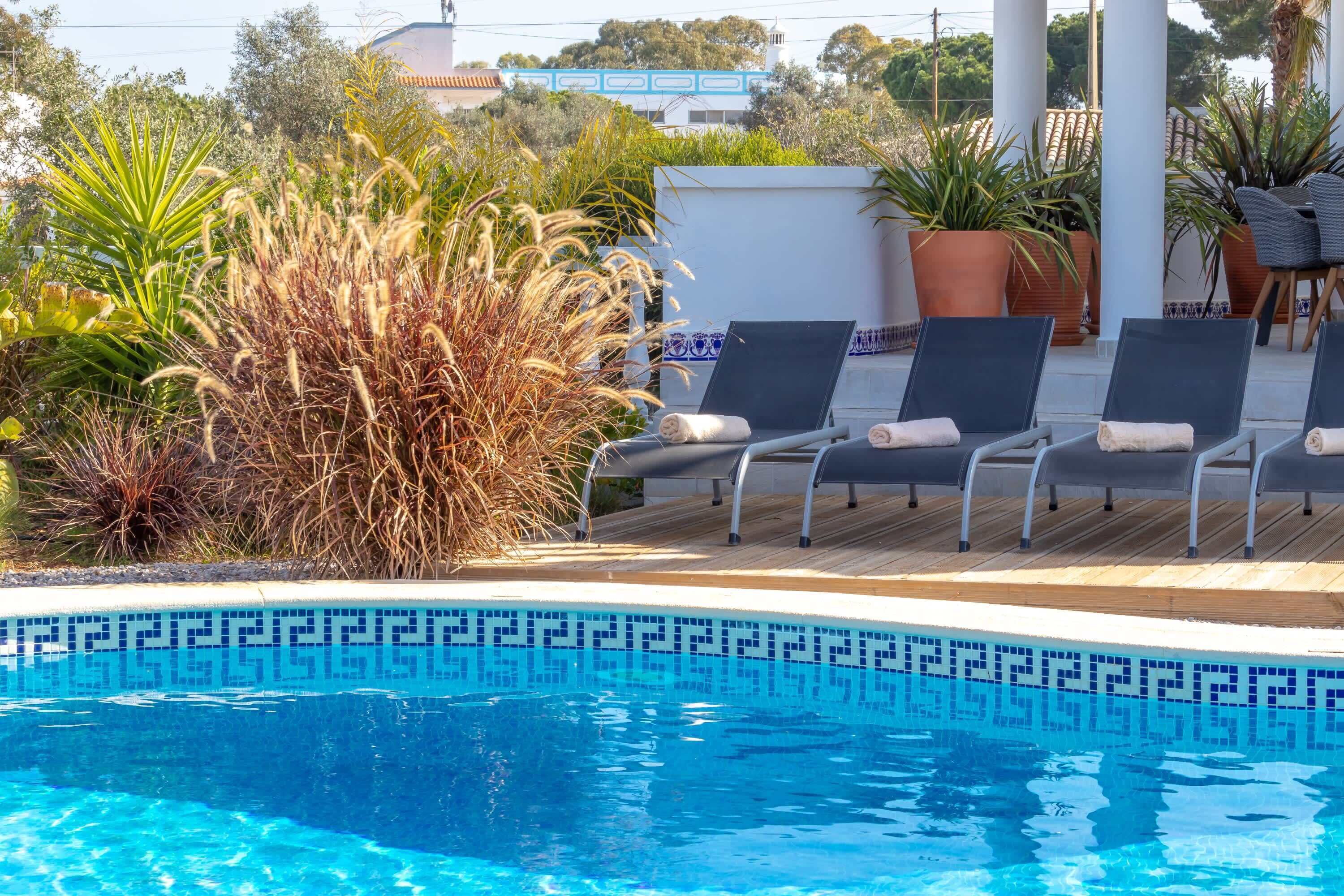 Piscina com espreguiçadeiras, rodeada por plantas em vasos e um deck ladrilhado.
