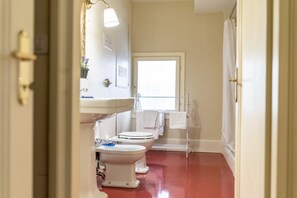 Shower, hair dryer, bidet, towels