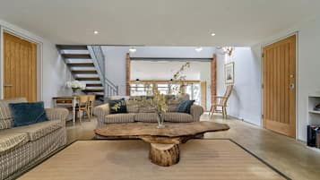 TV, DVD player, ping pong