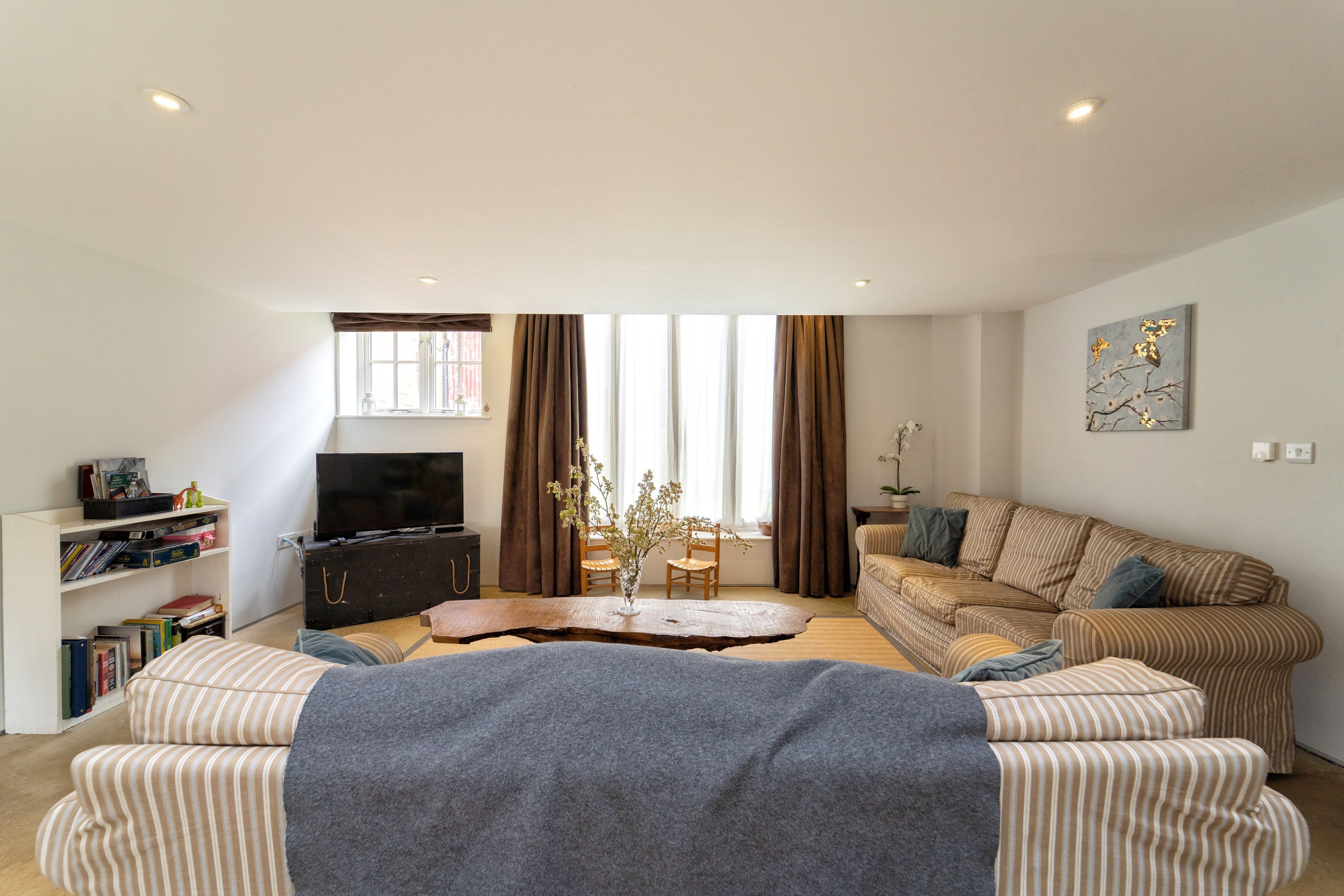 TV, DVD player, ping pong