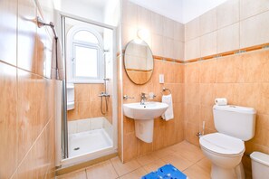Dusche, Haartrockner, Shampoo, Toilettenpapier