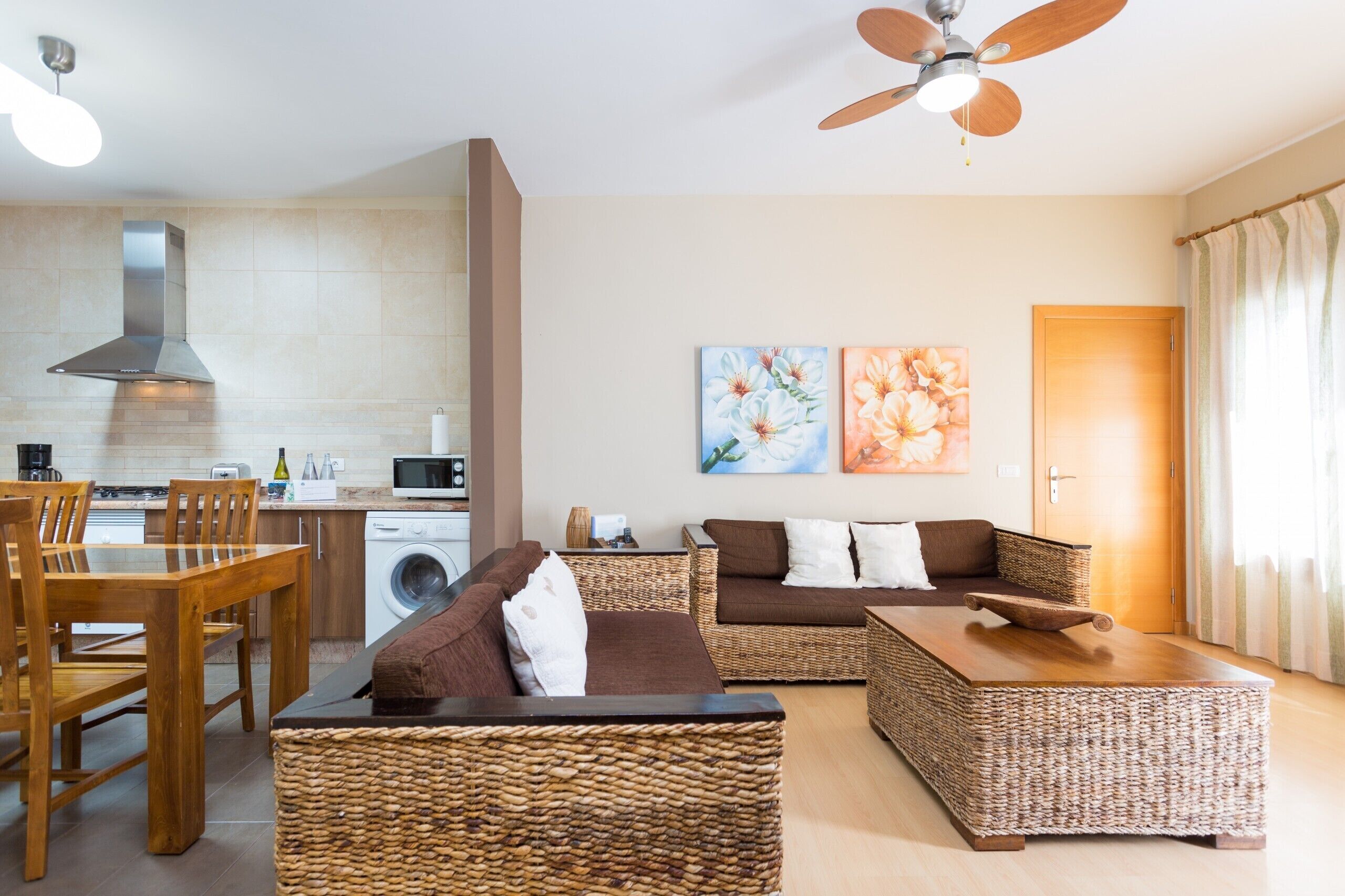 电视、DVD 播放器