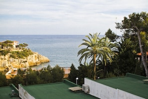 Vista desde la propiedad