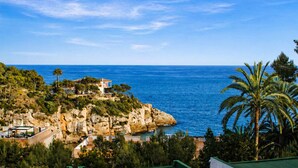 Une vue côtière avec une falaise rocheuse, un bâtiment au sommet et un palmier.