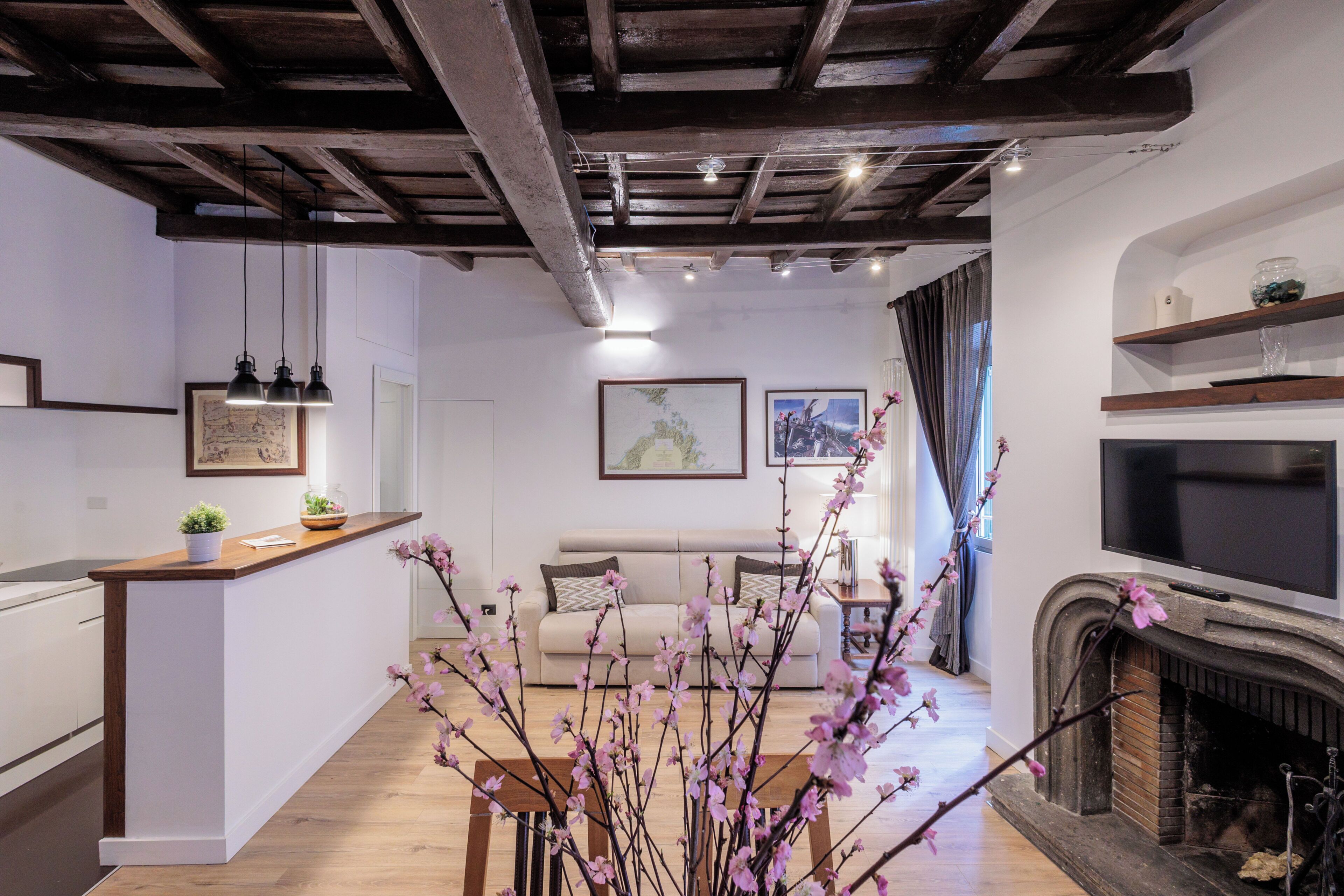 Smart-tv, pejs, bøger