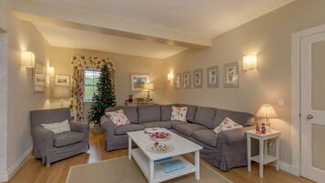 Smart TV, fireplace, DVD player, books