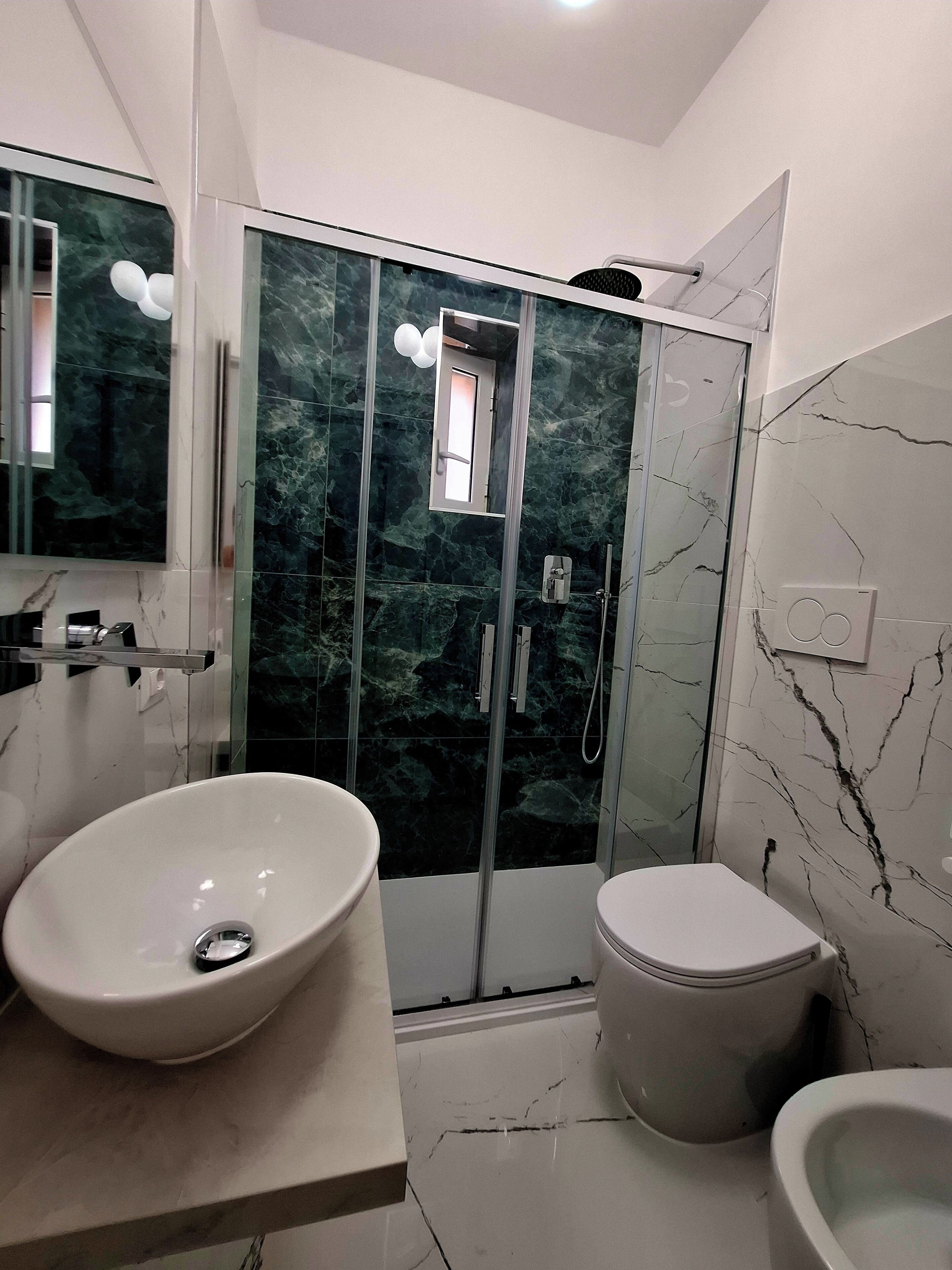 Shower, hair dryer, bidet, towels