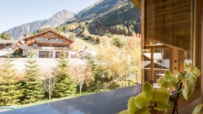 Property grounds - Chalet Granite-Stunning modern 4 bedroom chalet located in the heart of Chamonix (Chamonix)