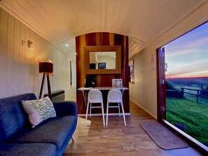 TV, DVD player, books