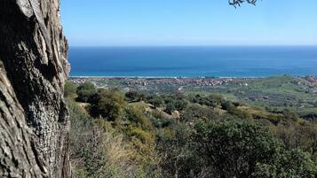 In Strandnähe, Liegestühle, Strandtücher