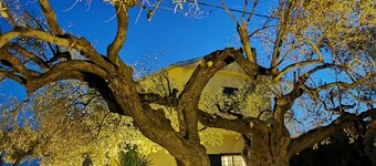 Villa "Le Jardin de Rocco"