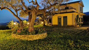 Una casa con muro de piedra, jardín, un árbol grande y camino de entrada pavimentado.