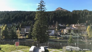 A mountainous landscape with a clear sky, a prominent tree, and a small building with a stone pathway leading to it.