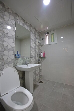 Douche, sèche-cheveux, chaussons, serviettes fournies
