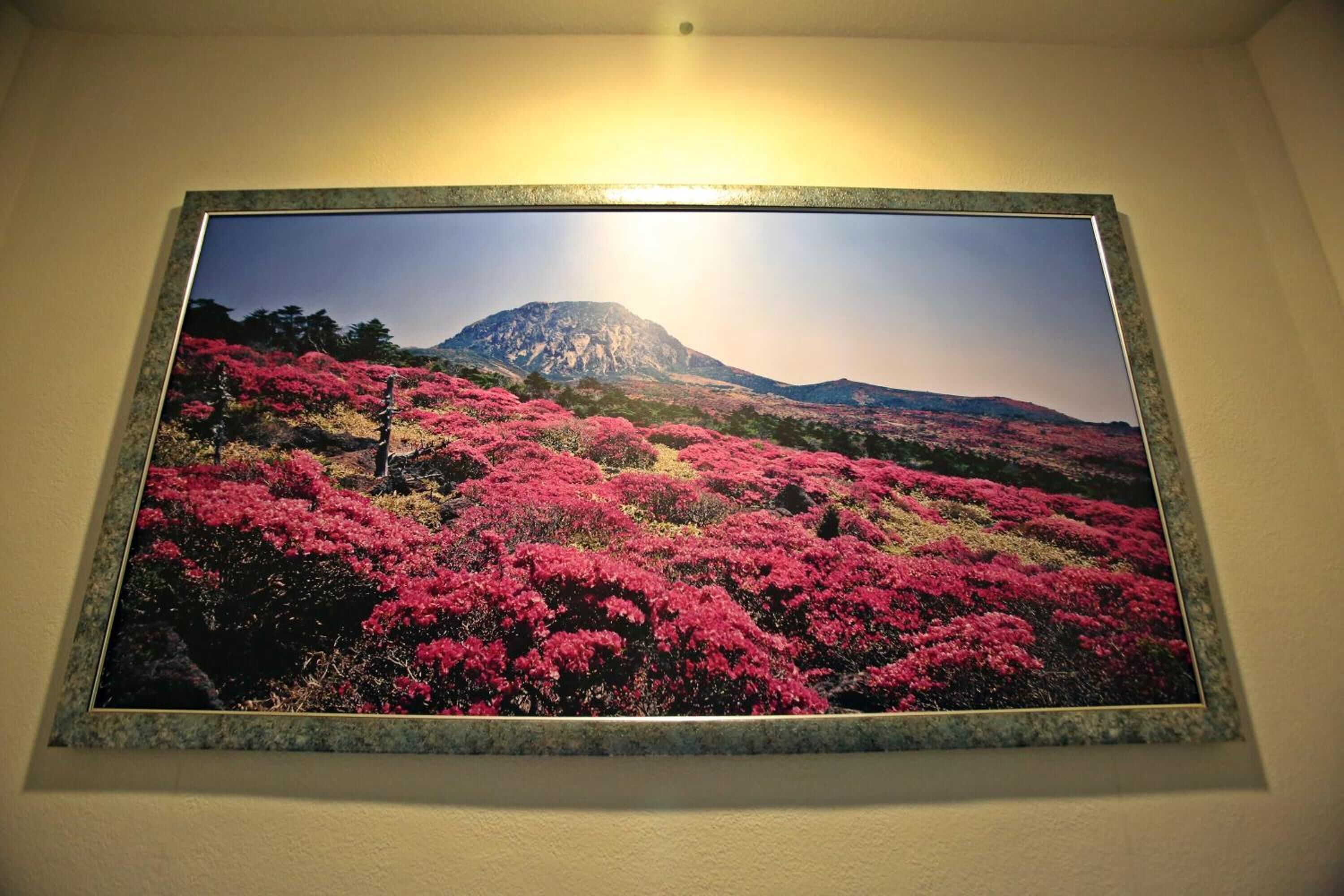 Photo - Champion Hotel