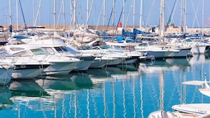 A marina with multiple sailboats docked in calm waters.