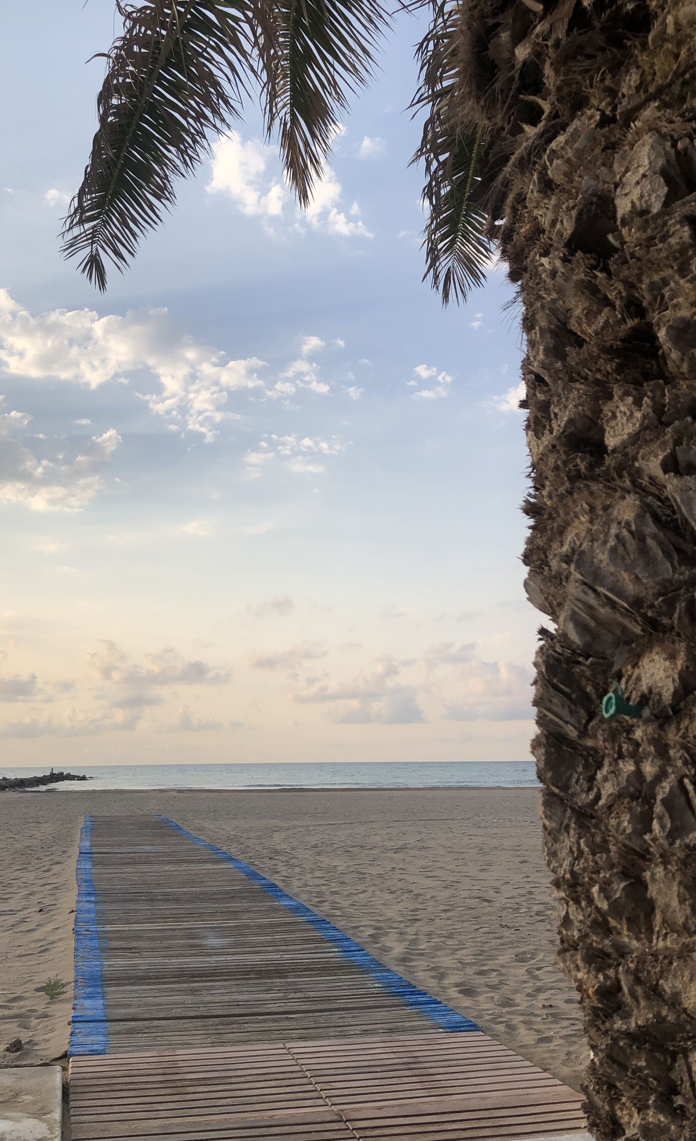 ビーチの近く、サンラウンジャー、ビーチタオル