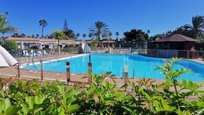 Une piscine rectangulaire bordée de carreaux, entourée de palmiers et dotée d’un espace de détente couvert.