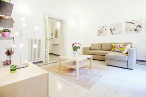 TV, books - Rome - Spacious apartment near the historic center (Rome)