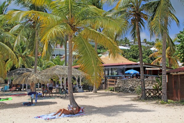 A beach scene with palm trees, a beach umbrella, and a person lying on a towel.