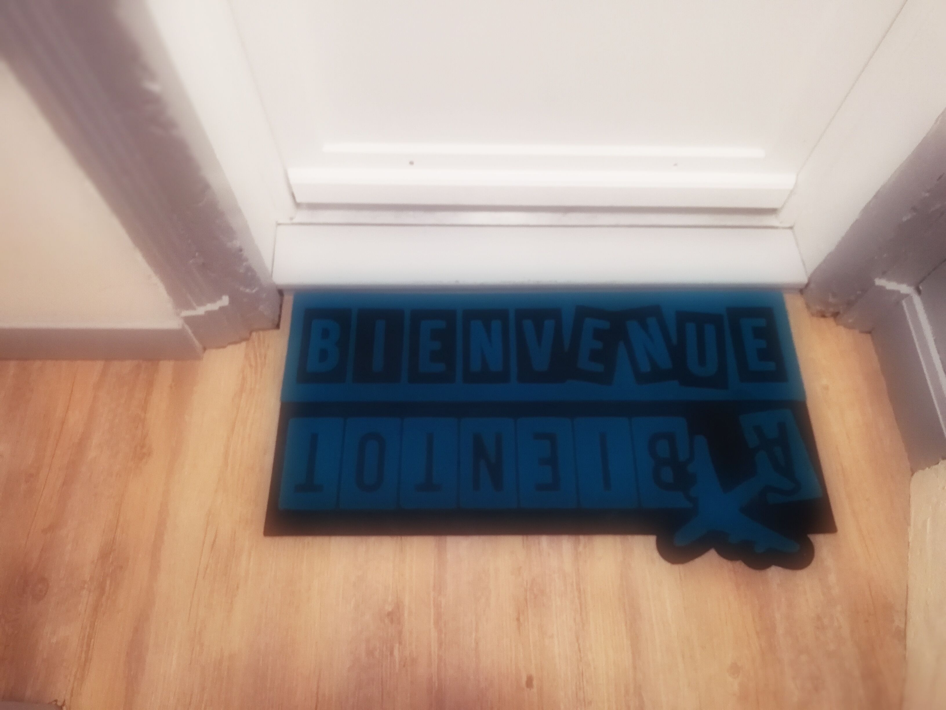 En blå dørmåtte med ordene "BIENVENUE" og "BIENVENUE" på et fremmedsprog.
