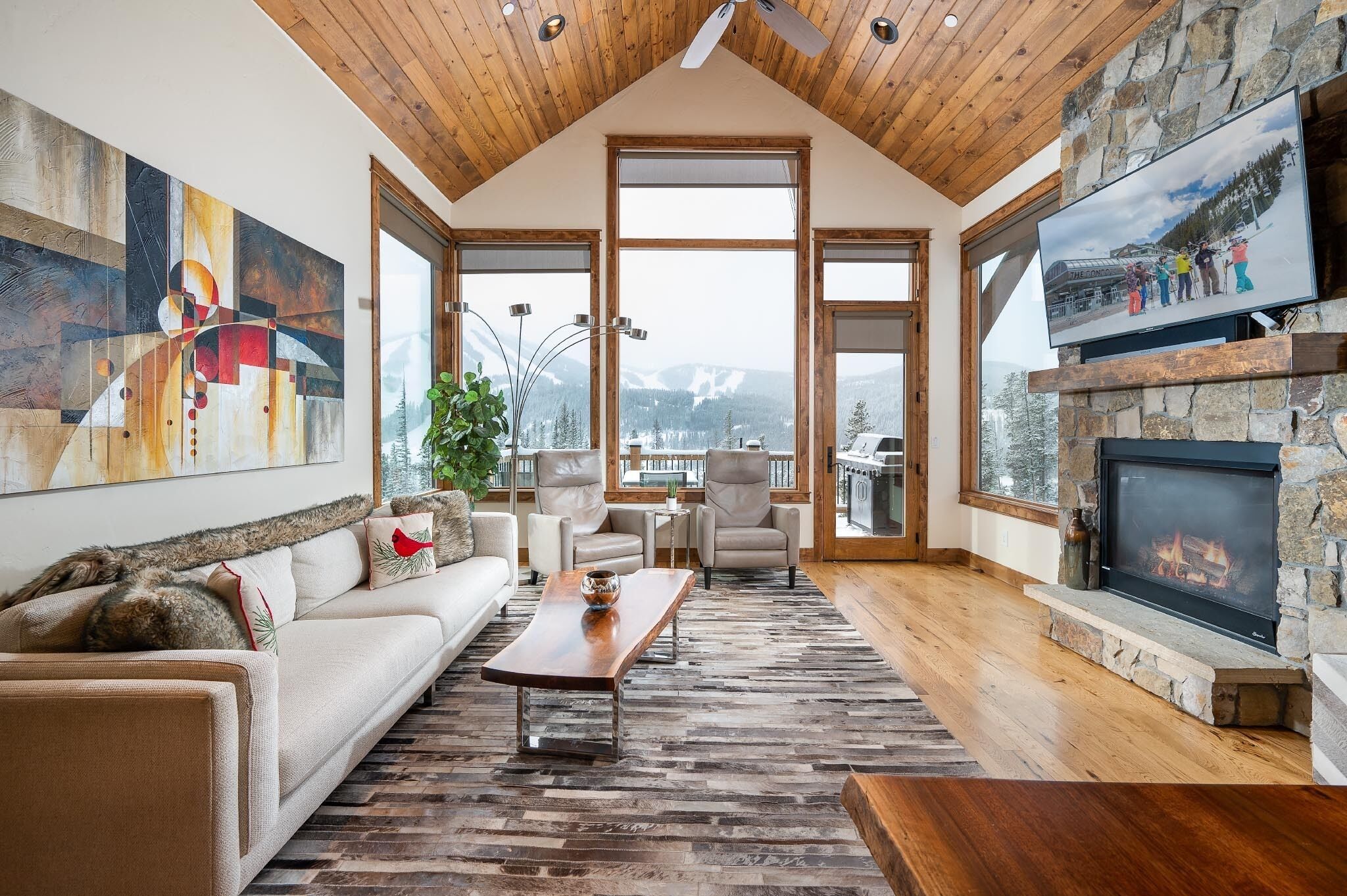 Smart-TV, peis, DVD-spiller og bøker