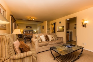 Televisión, chimenea y reproductor de DVD