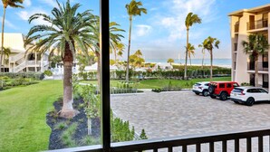 A hotel courtyard with palm trees, a paved area, and a view of the beach.