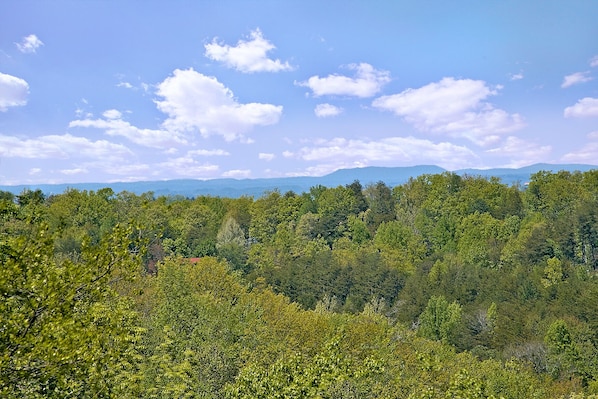 Un paysage boisé, avec un ciel dégagé et des montagnes à l'horizon.