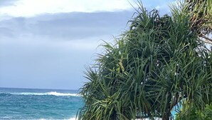 En stenet strand med bølger, et træ og grøn vegetation.