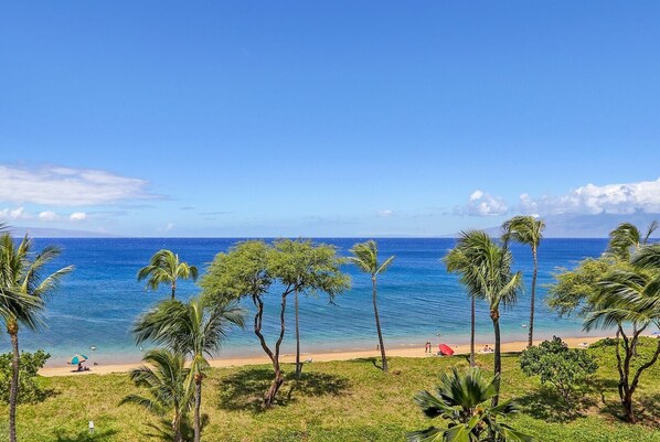 Enjoy a peaceful beachside retreat with palm trees, sandy shore, and a clear view of the ocean.