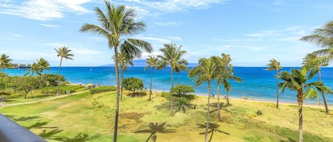 Blick auf einen Strand mit Palmen und blauem Himmel.
