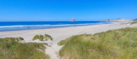 Vlak bij het strand