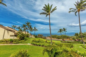 A lush, green landscape with palm trees, a well-maintained lawn, and a view of the ocean.